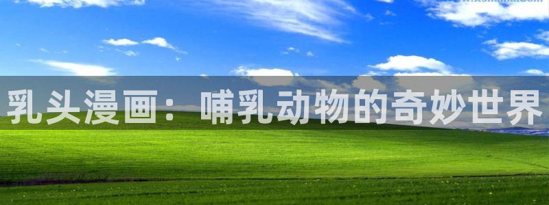 虫虫漫画免费在线观看