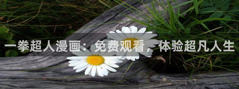 虫虫漫画免费漫画页面在线看漫画
